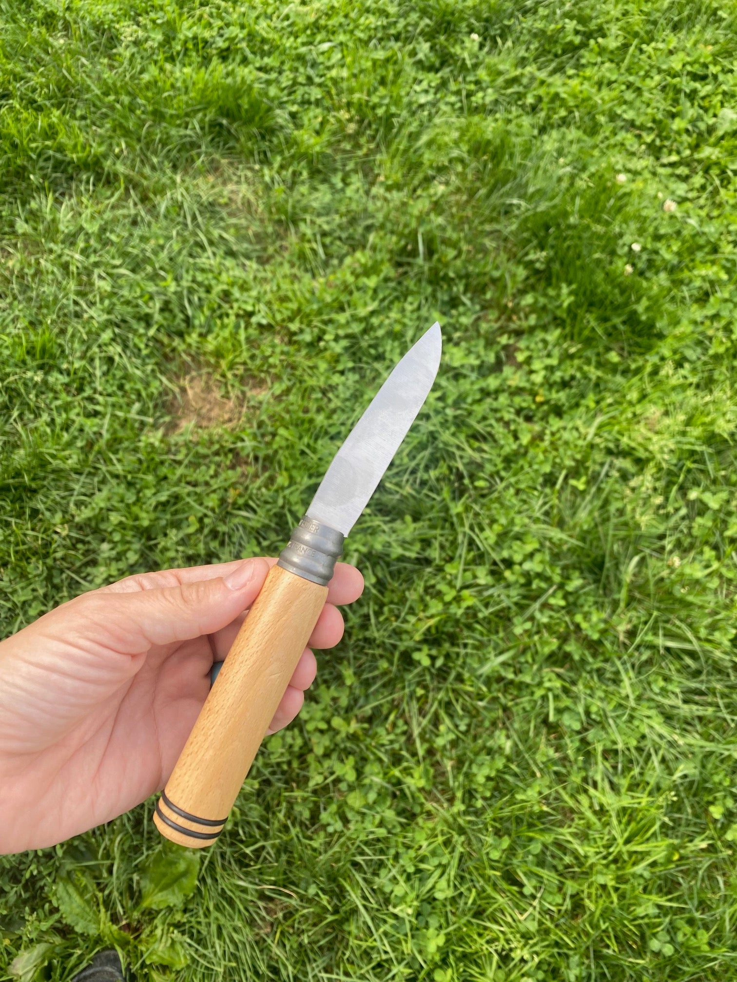 Coyote Folder